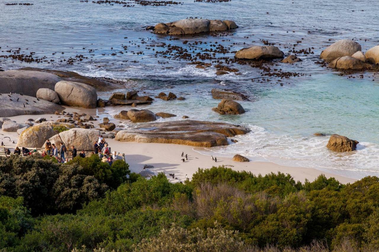 Willa Tintswalo Boulders Simonʼs Town Zewnętrze zdjęcie